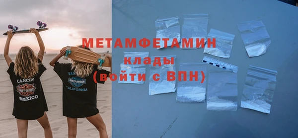 прущие грибы Богданович