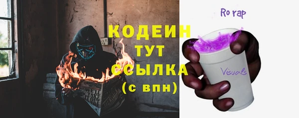 прущие грибы Богданович