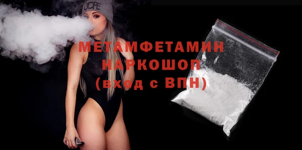 прущие грибы Богданович