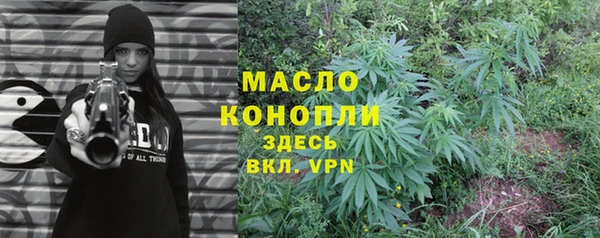 прущие грибы Богданович
