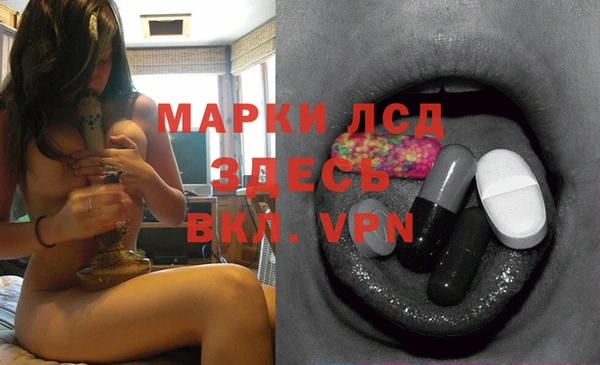 прущие грибы Богданович