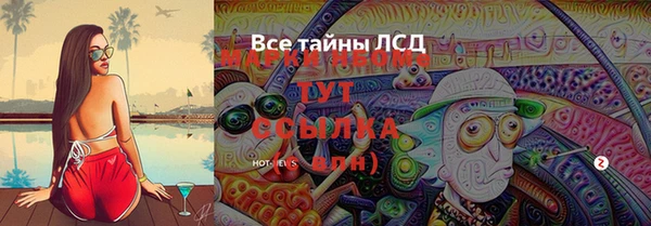 ГАЛЛЮЦИНОГЕННЫЕ ГРИБЫ Богородицк