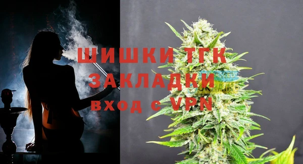a pvp Бородино