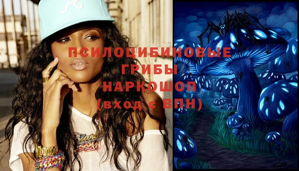прущие грибы Богданович