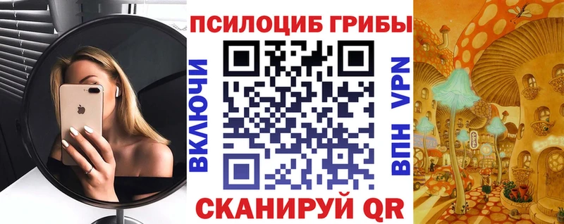 Галлюциногенные грибы MAGIC MUSHROOMS закладка Новороссийск